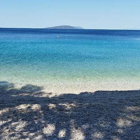 Dragicevic 아파트 포도카