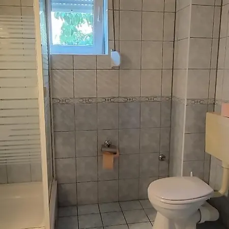 Dragicevic 포도카