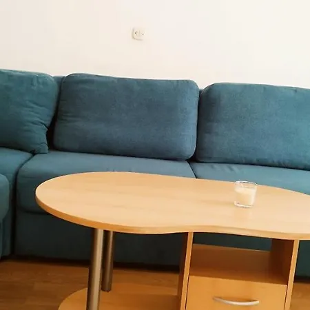 Dragicevic 포도카