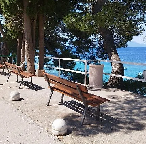 Dragicevic Апартаменты